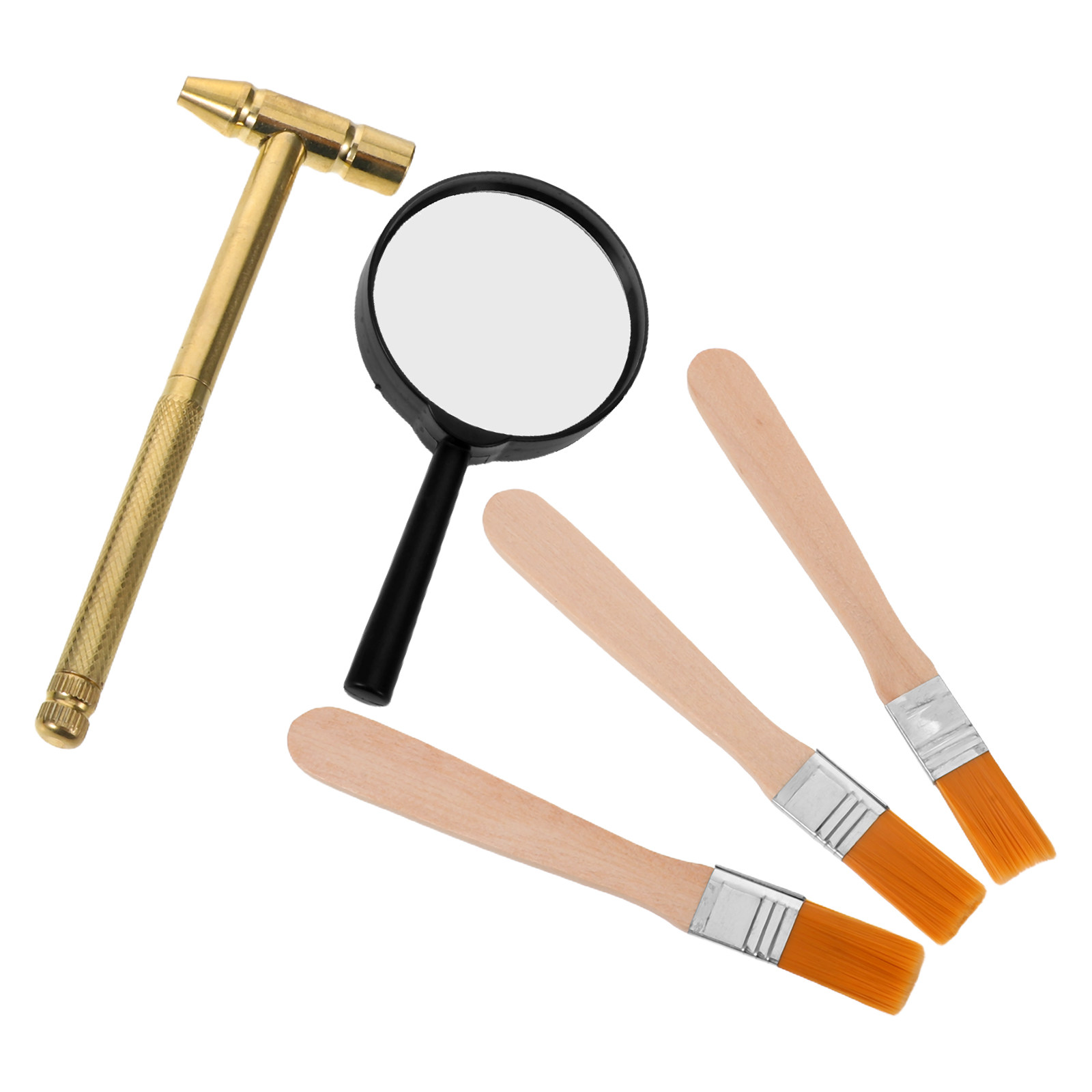 1Set Kids Archaeology Excavati - Kids Education Kit 评论和价格