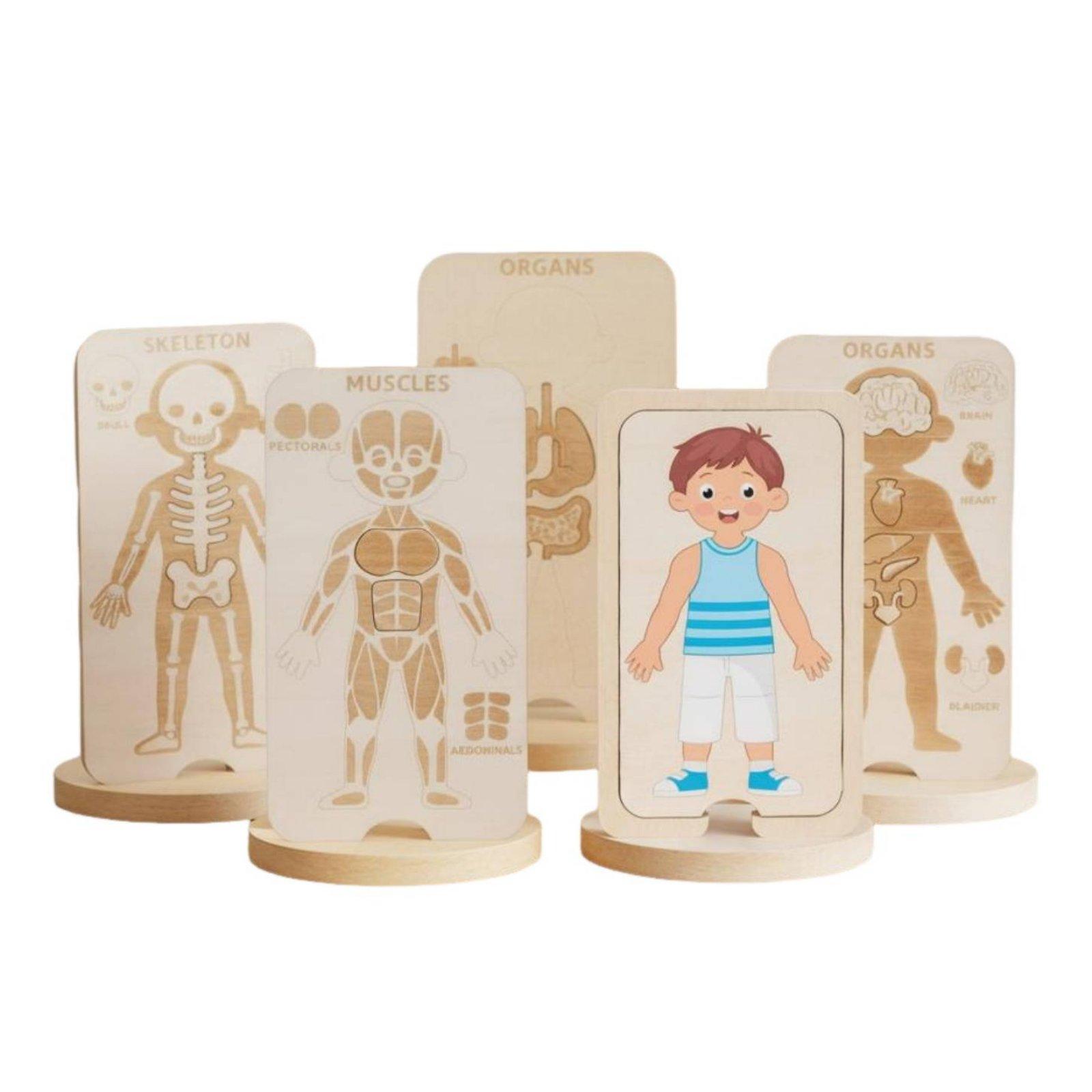 Kids Educational Wooden Puzzle - Human Body Puzzle 评论和价格