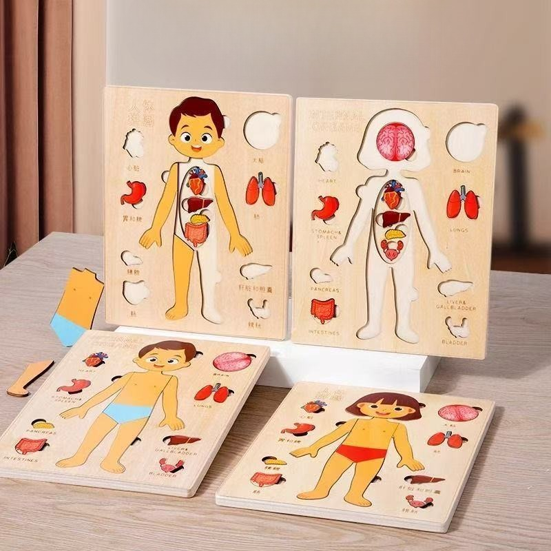 Montessori Puzzles Busy Board  - Human Body Puzzle 评论和价格