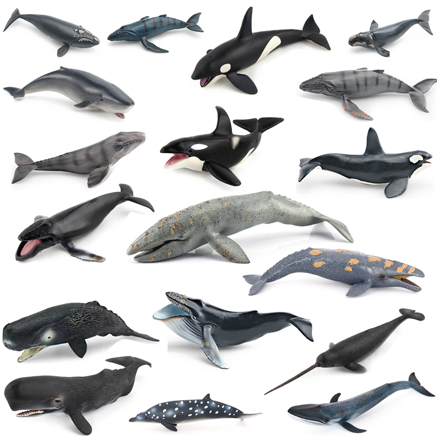 Realistic Humpback Whale Sperm - Kids Educational Game 评论和价格