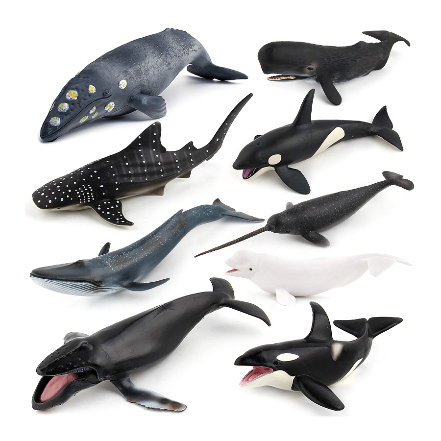 Realistic Humpback Whale Sperm - Kids Educational Game 评论和价格