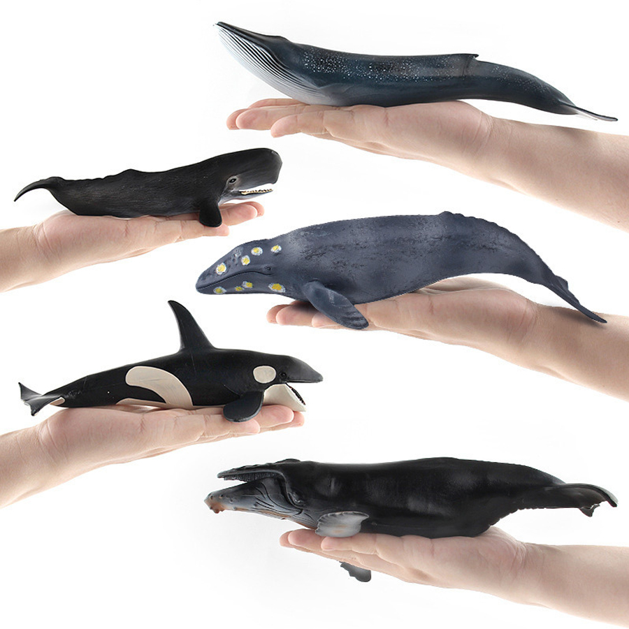 Realistic Humpback Whale Sperm - Kids Educational Game 评论和价格