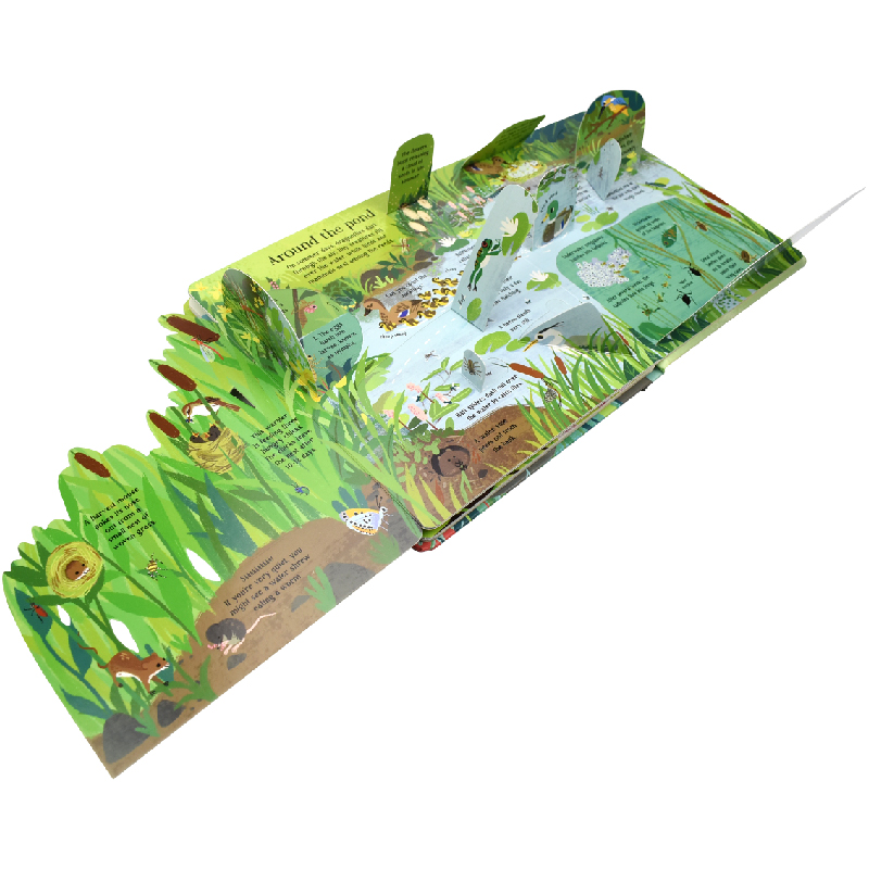 English Montessori 3D Usborne  - Kids Education Board 评论和价格