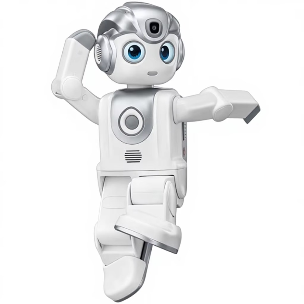 Humanoid AI Programming Robot  - Kids Education Program 评论和价格