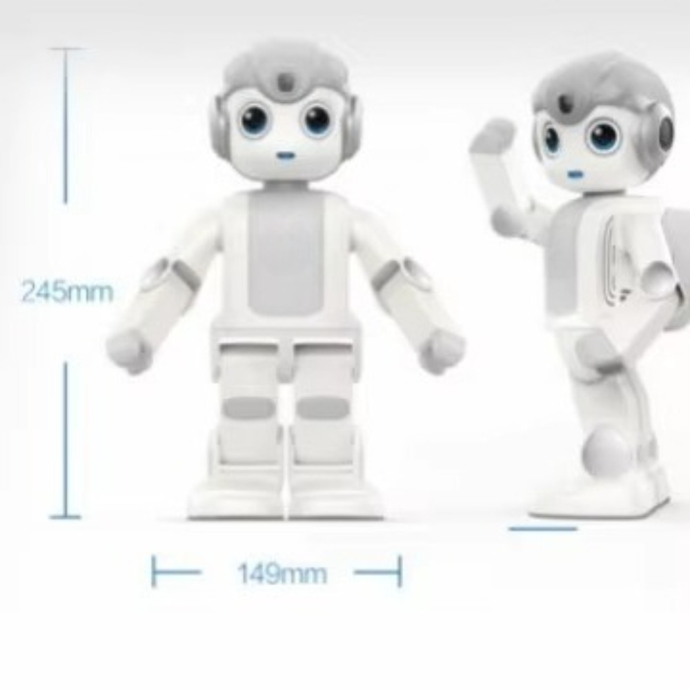 Humanoid AI Programming Robot  - Kids Education Program 评论和价格